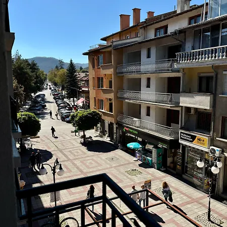 Boutique Family Hotel Brio 3* Velingrad